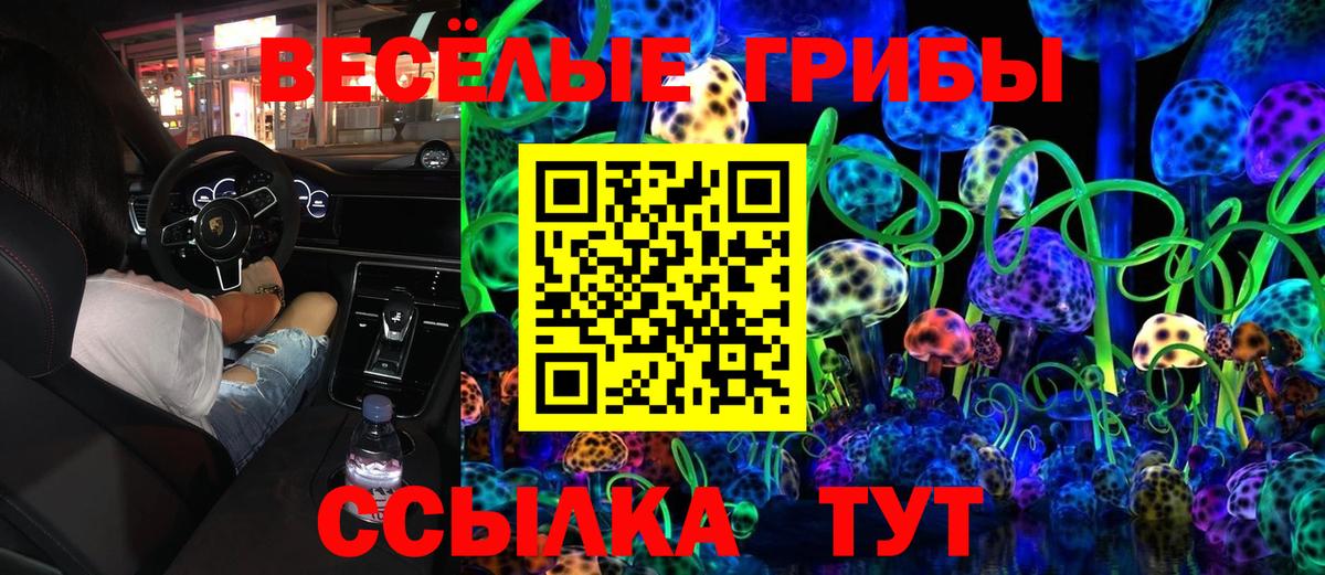 Михайловка  Галлюциногенные грибы мицелий  Вход с VPN 